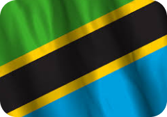 Tanzania Flag