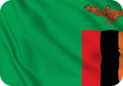 Zambia Flag